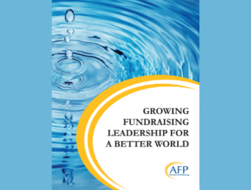 Cover of Case study that says "Growing Fundraising Leadership for a Better World"