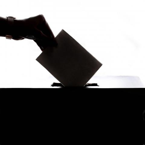 image of hand putting ballot in a box