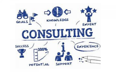 "Consulting"