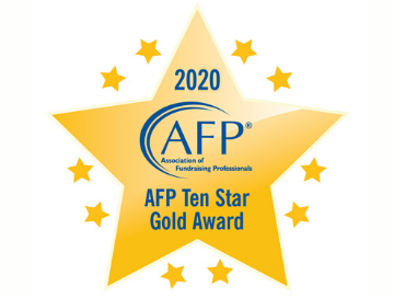 2020 Ten Star Gold chapter award logo