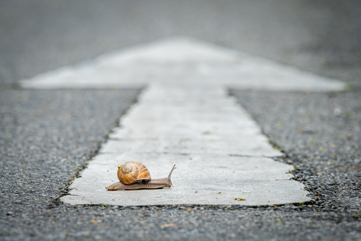 Closeup of a snail crossing a road with a white arrow in wrong direction
