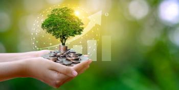 Hands holding tree resting on pile of coins