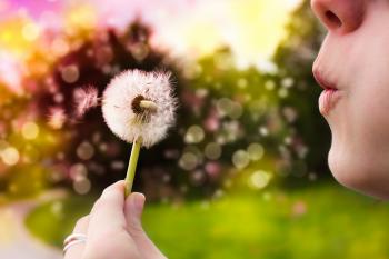 mouth blowing dandelion that has gone to seed