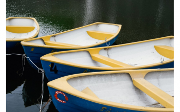 image of four row boats tied together in the water