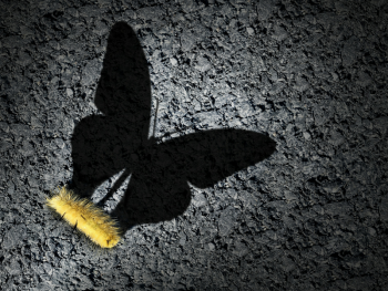 photo of caterpillar with shadow of a butterfly emerging from the side of it