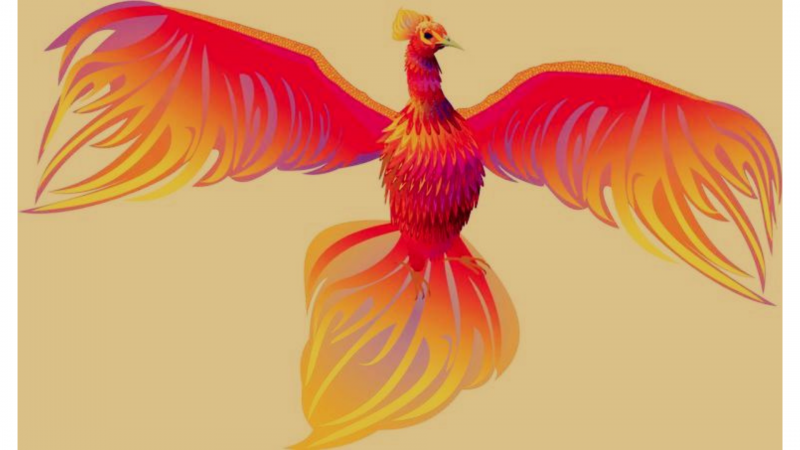 phoenix rising