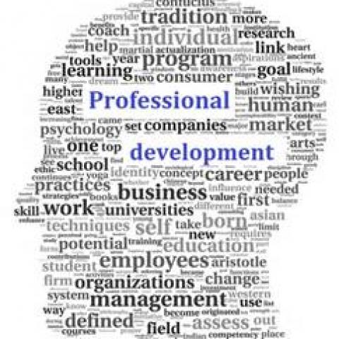 Word art in the shape of a human head "Professional Development"