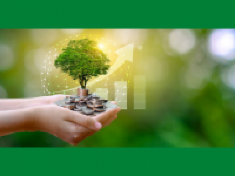 Hands holding a small tree with a column grid and arrow pointing up in the background.