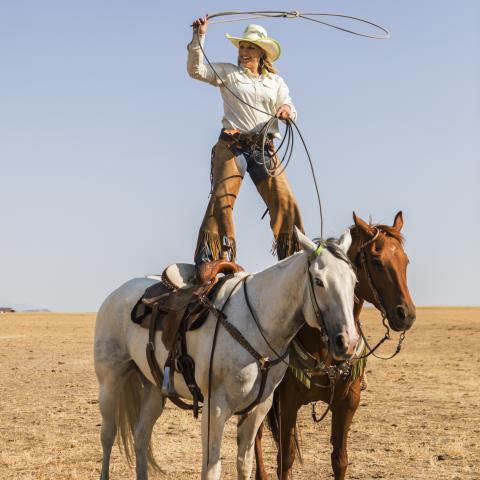 Cowgirl standing on two horses with lasso twirling over her head