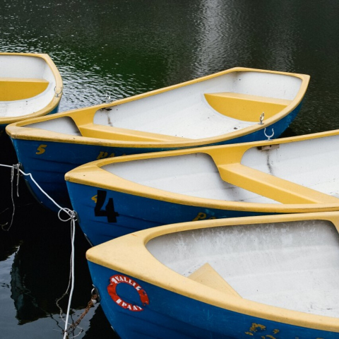 image of four row boats tied together in the water
