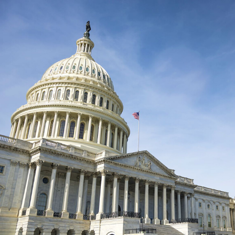 image of US Capitol Building with blue sky in the background